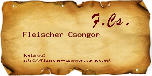 Fleischer Csongor névjegykártya