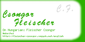 csongor fleischer business card